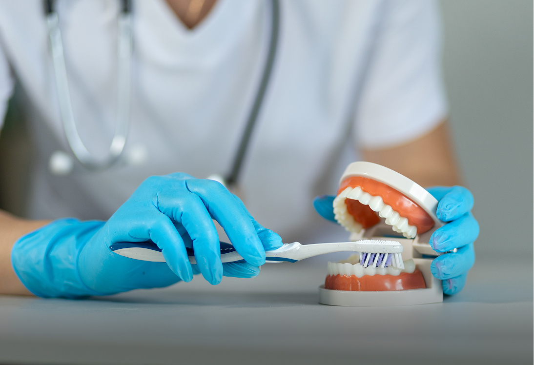 Dentist demonstrating toothbrushing technique